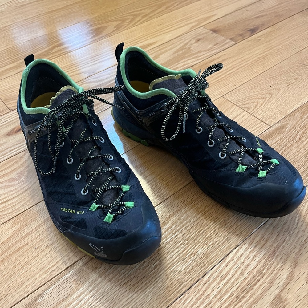 Hiking and climbing shoe